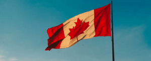 الجنسيات التي لها حق اللجوء في كندا وأهم شروط للموافقة على اللاجئين