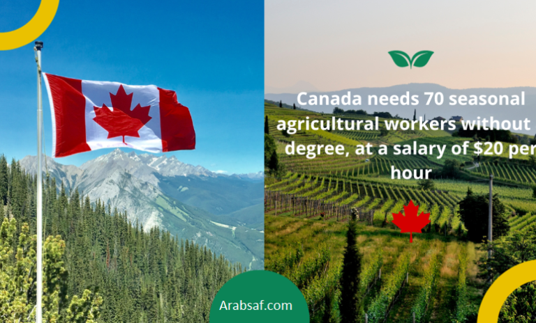 توظيف عمال زراعيين موسميين في كندا براتب 20 دولارًا في الساعة
