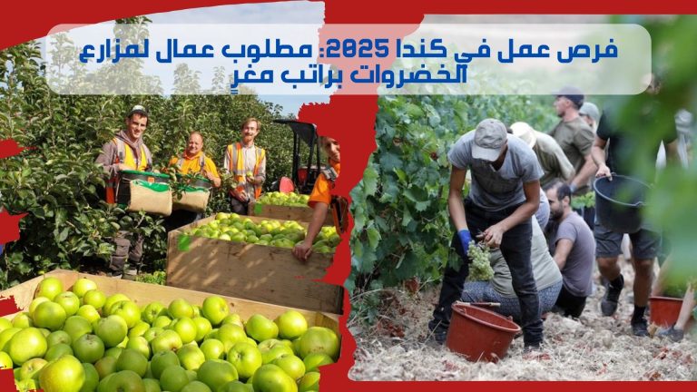 فرص عمل في كندا 2025: مطلوب عمال لمزارع الخضروات براتب مغرٍ