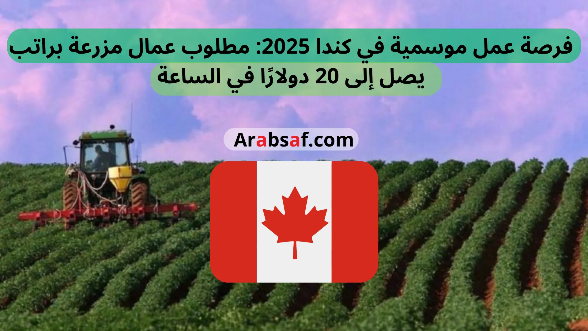 arabsaf.com